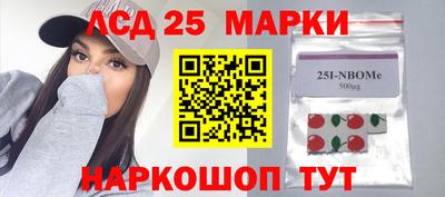 молекула духа Будённовск
