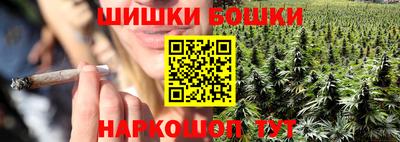 молекула духа Будённовск