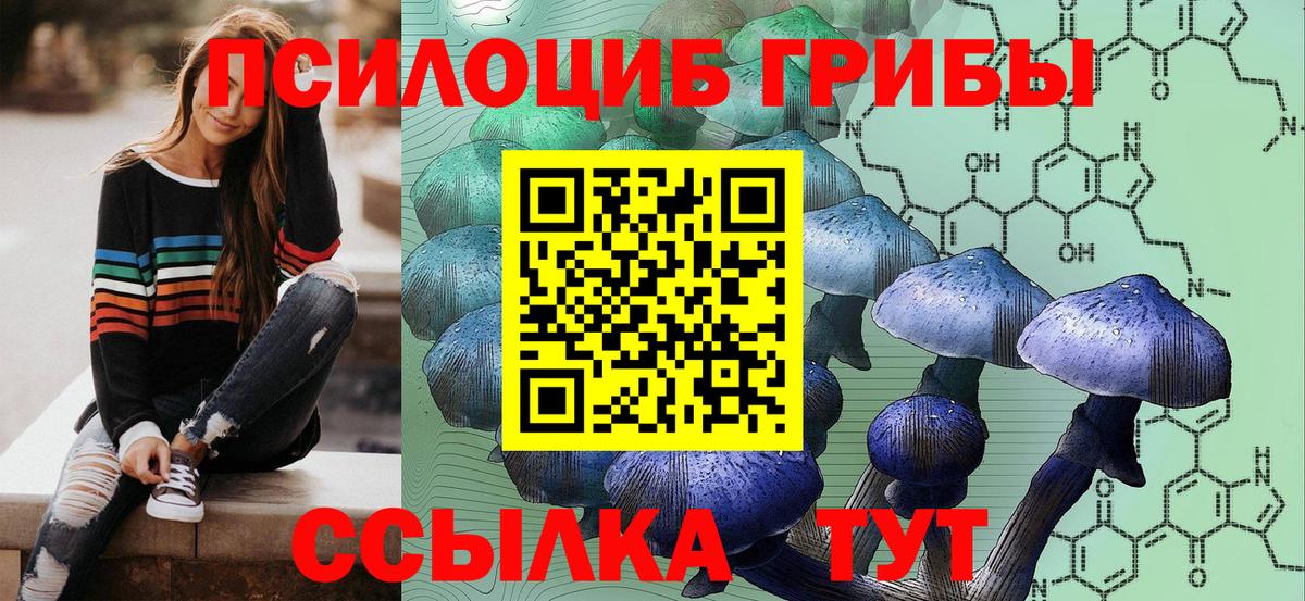 Псилоцибиновые грибы Cubensis Лыткарино