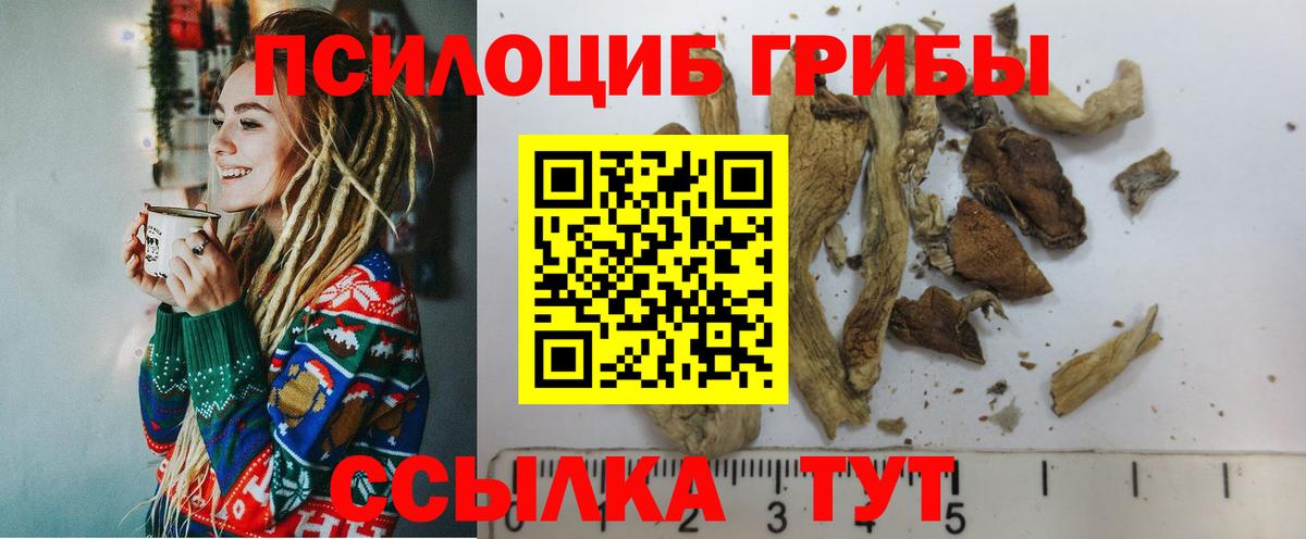 Псилоцибиновые грибы GOLDEN TEACHER  Вход с VPN  Лыткарино  Галлюциногенные грибы ЛСД 